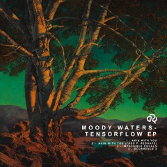 Moody Waters - Akin With You (Fred P. Reshape)