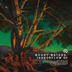 Moody Waters - Ocurrence 4 (Original Mix)