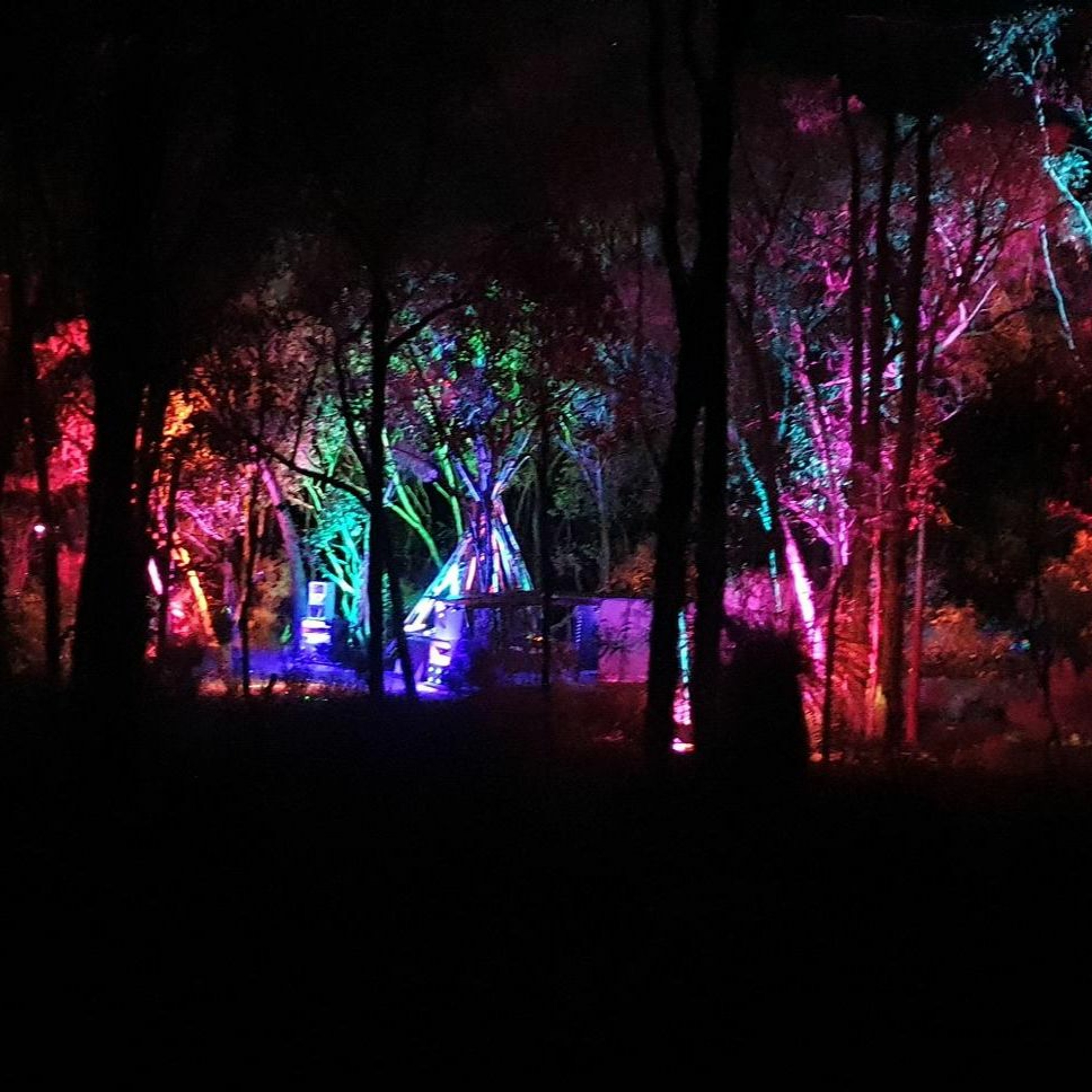 Harry Blotter - Buffalo Stampede 2 (Vic Bush Sep 2023) 2 hr Techno & Acid Closing set thumbnail