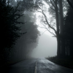 you were in my dream