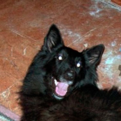 bring light to my darkest days