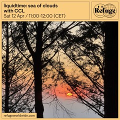 liquidtime: sea of clouds - CCL - 12 Apr 2025