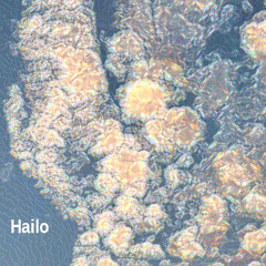 HAILO