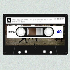 From Spoken word to Emo spoken word-core (?)by Camilla Senni