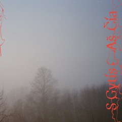 S Gytis - Šaltam Vandeny [Ramu Records]