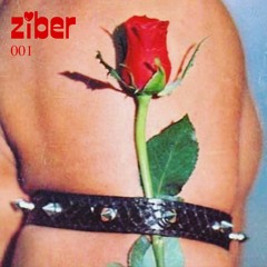 ZIBER 001 - That's Disgusting!