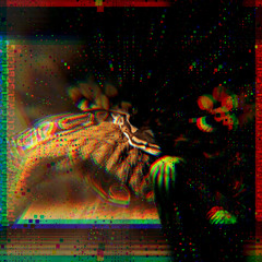 IFUCANREADTHISUOWEUS5BUCKS