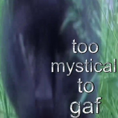 Dance w k3 (exhale runtz)