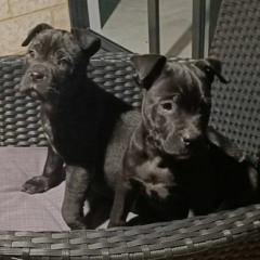 Leave a light on vocals.mp3