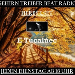 E.Tucalúec @ Gehirn Treiber Beat Radio