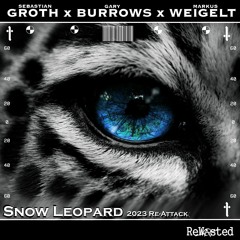 Sebastian Groth, Gary Burrows & Markus Weigelt - Snow Leopard (Reattack 2023)
