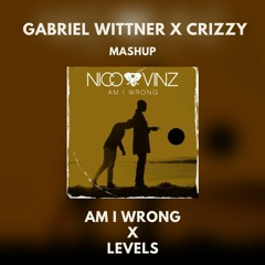 Am I Wrong X Levels (Gabriel Wittner X Crizzy Mashup)