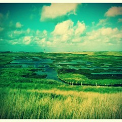 Seulement - Sur - Mer