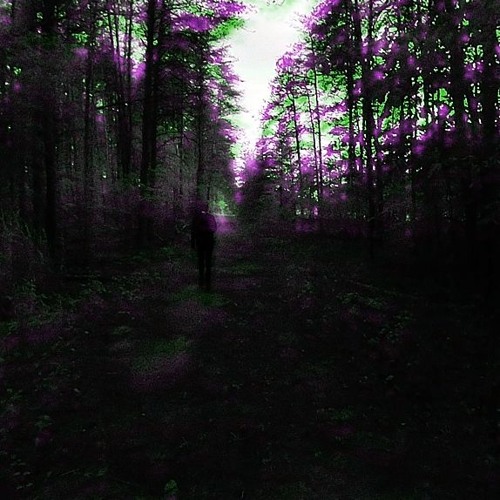Which Path [Draft Demo Version]