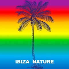 Controversy Ibiza