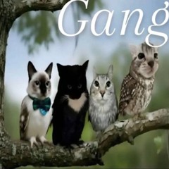 gng