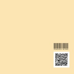 Peaches | DJ DX Blend