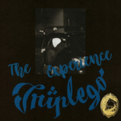 The Triplego Experience