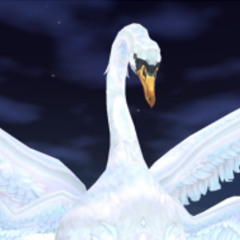 Bird Feather [Prod. Scrup]