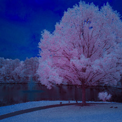 Infrared Blues