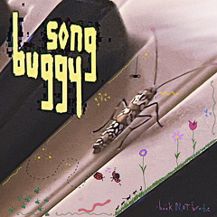 Buggy song