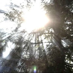 no puedo bajar (3nkeess!)