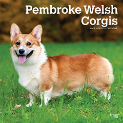 Read KINDLE 📁 Pembroke Welsh Corgis | 2023 12 x 24 Inch Monthly Square Wall Calendar