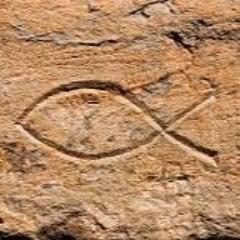 SkømaZØM - FshhBønezFreestyle #FREESLiKK