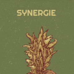 2024-12-11Synergie