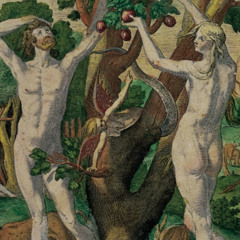 Eve