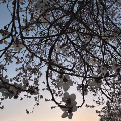 Sounds Of The Park: 17th March '25