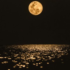 moonlite - STEVIE MAC