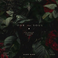 For The Soul (Live)