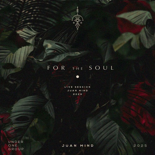 For The Soul (Live)