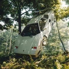 JUNGLE