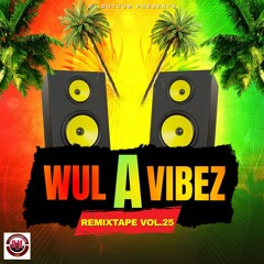 DJ DOTCOM PRESENTS WUL A VIBEZ REMIXTAPE VOL.25🌴