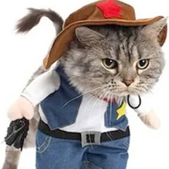 COWBOY SHUFFLE(Kissing Cousins Anthem)