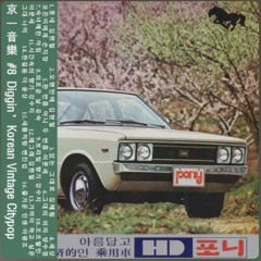 #8 Diggin' Korean Vintage Citypop.mp3