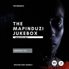 The Mapinduzi Jukebox: What's Nu