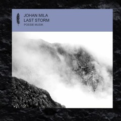 Johan Mila - Last Storm (David Hasert & Dario Klein Remix)