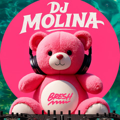 Bresh Session | Sesion Septiembre 2025 MIX (Reggaeton, Comercial, Trap, Flamenco, Dembow) DJ MOLINA