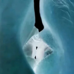 01000111 01010101 00100001 (GU!) (ORIGIN VERSION)