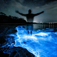 DREAM VAULT 1-A MYSOLNESS