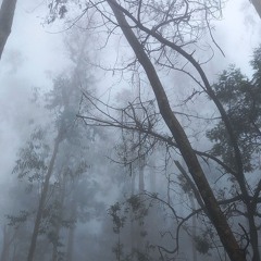 brothre prod slytsix