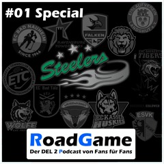 Special #01 Bietigheim Steelers