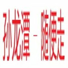 孙龙潭 - 随便走