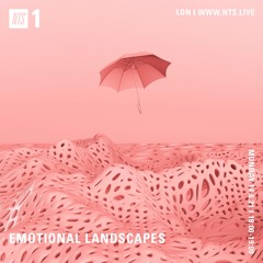 Emotional Landscapes 140621