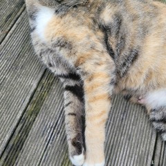 눈이 오는 날에 나는 너무 추웠다. (W/ SuMn!)