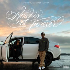 Now Is Not Forever (Album)