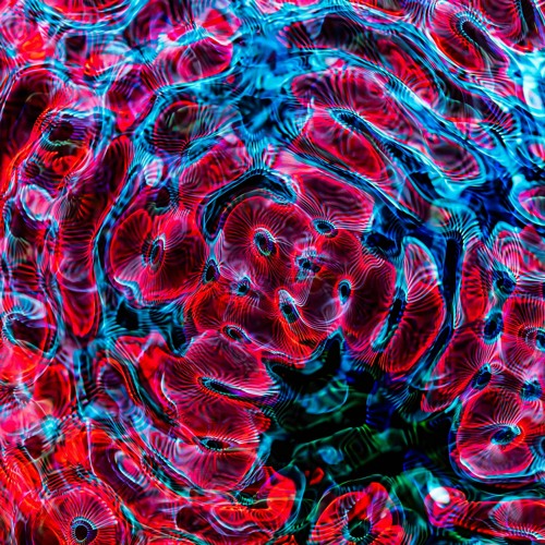 FRONTLINE PODCAST #1 - Techno mental / groove